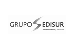 grupo-edisur
